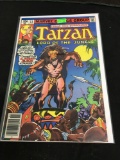 Tarzan Lord of The Jungle #13 Comic Book from Amazing Collection