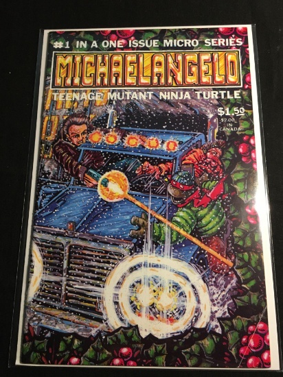 Michaelangelo Teenage Mutant Ninja Turtle #One Shot B-Comic Book