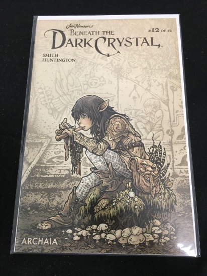 Beneath The Dark Cyrstal #12 Comic Book from Amazing Collection