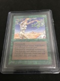 Magic the Gathering SHANODIN DRYADS Vintage BETA Trading Card