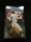 Factory Sealed The Leaf Set 1993 Edition Baseball Cards 36 Packs from Store Closeout