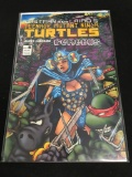 Teenage Mutant Ninja Turtles #8 Comic Book from Amazing Collection