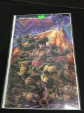 Teenage Mutant Ninja Turtles #18 Comic Book from Amazing Collection