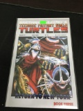 Teenage Mutant Ninja Turtles #21 Comic Book from Amazing Collection