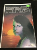 Teenage Mutant Ninja Turtles #28 Comic Book from Amazing Collection