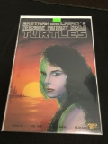 Teenage Mutant Ninja Turtles #28 Comic Book from Amazing Collection B