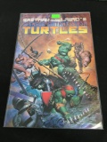 Teenage Mutant Ninja Turtles #33 Comic Book from Amazing Collection