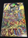 Teenage Mutant Ninja Turtles #34 Comic Book from Amazing Collection
