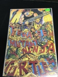 Teenage Mutant Ninja Turtles #34 Comic Book from Amazing Collection B