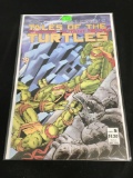 Teenage Mutant Ninja Turtles #5B Comic Book from Amazing Collection