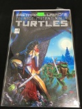 Teenage Mutant Ninja Turtles #13 Comic Book from Amazing Collection