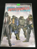Teenage Mutant Ninja Turtles #14 Comic Book from Amazing Collection