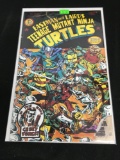 Teenage Mutant Ninja Turtles #15 Comic Book from Amazing Collection