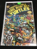 Teenage Mutant Ninja Turtles #15 Comic Book from Amazing Collection B