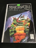 Teenage Mutant Ninja Turtles #16 Comic Book from Amazing Collection B