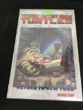 Teenage Mutant Ninja Turtles #19 Comic Book from Amazing Collection