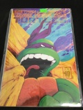 Teenage Mutant Ninja Turtles #22 Comic Book from Amazing Collection