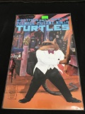 Teenage Mutant Ninja Turtles #23 Comic Book from Amazing Collection