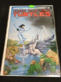 Teenage Mutant Ninja Turtles #27 Comic Book from Amazing Collection