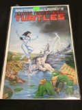 Teenage Mutant Ninja Turtles #27 Comic Book from Amazing Collection B