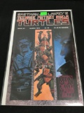 Teenage Mutant Ninja Turtles #29 Comic Book from Amazing Collection B