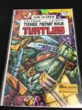 Teenage Mutant Ninja Turtles How To Draw Comic Book from Amazing Collection