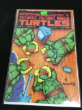 Teenage Mutant Ninja Turtles #41 Comic Book from Amazing Collection