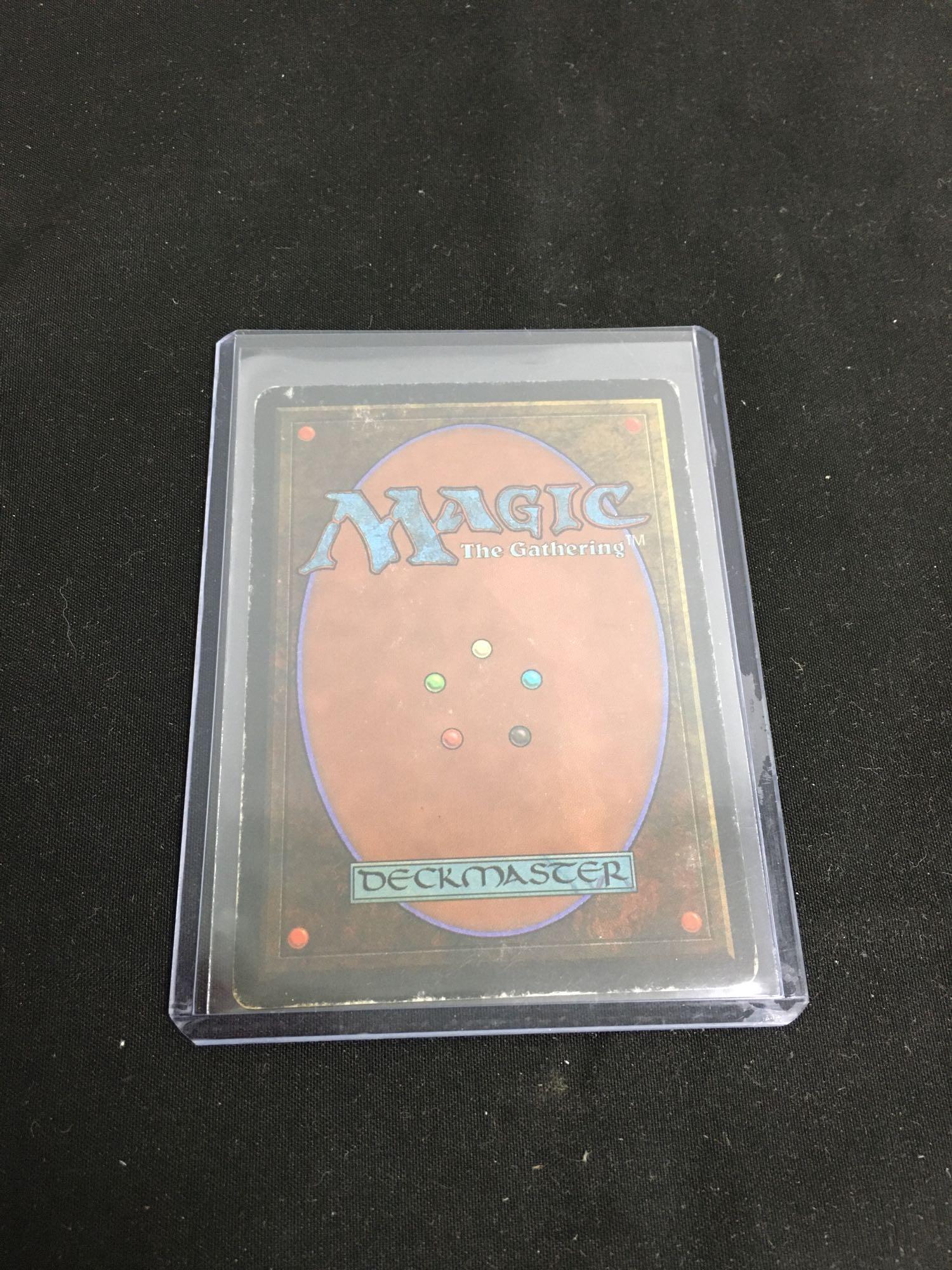 SIGNED Magic the Gathering TUNDRA Revised Dual | Proxibid
