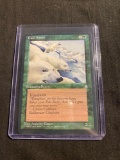 Magic the Gathering PALE BEARS Ice Age Vintage Trading Card