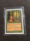 Magic the Gathering NATURE'S LORE 5th Edition Vintage Trading Card