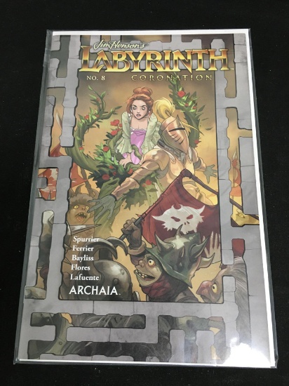 Labyrinth Coronation #8 Comic Book from Amazing Collection B