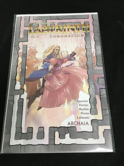 Labyrinth Coronation #9 Comic Book from Amazing Collection