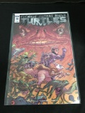 Teenage Mutant Ninja Turtles Universe #10 Sub Cover Comic Book from Amazing Collection