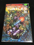 Teenage Mutant Ninja Turtles #7 Comic Book from Amazing Collection