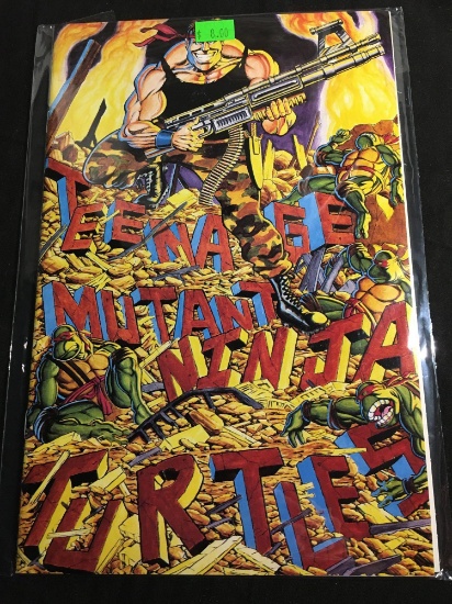 Teenage Mutant Ninja Turtles #34 Comic Book from Amazing Collection B