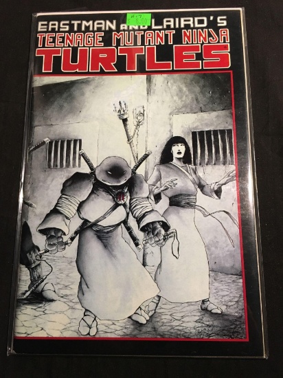 Teenage Mutant Ninja Turtles #17 Comic Book from Amazing Collection