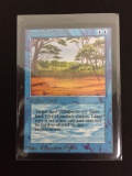 Magic the Gathering PHANTASMAL TERRAIN Vintage ALPHA Trading Card