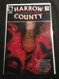 Harrow County #21 Comic Book from Amazing Collection B