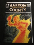 Harrow County #24 Comic Book from Amazing Collection B