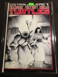 Teenage Mutant Ninja Turtles #17 Comic Book from Amazing Collection