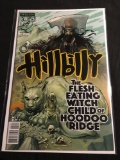 Hillbilly #3 Comic Book from Amazing Collection