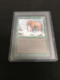 Magic the Gathering WAR MAMMOTH Alpha Vintage Trading Card