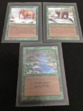 3 Card Lot of Vintage Magic the Gathering BETA Trading Cards from Collection