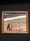 Vintage Stand Musial Autographed 8X10 Photo with COA from Store Closing