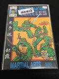 EASTMAN AND LAIRD'S TEENAGE MUTANT NINJA TURTLES MARTIAL ARTS #6 Comic Book