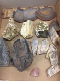 Amazng Lot of Fossils, Crystals and More from Estate - LOCAL PICKUP ONLY