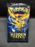 Factory Sealed Hidden Fates Pokemon 10 Card Booster Pack