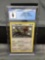 CGC Graded 2019 Pokemon Hidden Fates #SV45 TYPE: NULL Holofoil Rare Trading Card - MINT 9