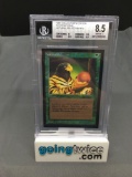 BGS Graded Magic the Gathering Beta Int'l Collectors Edition NATURAL SELECTION Card - NM-MT+ 8.5