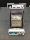 BGS Graded Magic the Gathering Beta Int'l Collectors Edition TUNDRA Dual Land Card - NM-MT+ 8.5